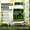 Rhodiola Rosea | Calm Your Stress & Get Your Focus Back