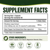 Rhodiola Rosea | Calm Your Stress & Get Your Focus Back