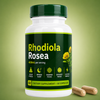 Rhodiola Rosea | Calm Your Stress & Get Your Focus Back